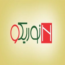 طراحی سایت شرکت نوریکو