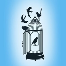 داستان بالا رو نگاه کن