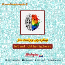 نیمکره چپ و راست مغز