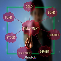 سرمایه گذاری