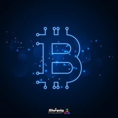 ساختار جامعه ارزهای دیجیتال