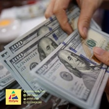 مدل جانشینی ارز