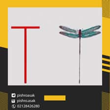 الگوی سنجاقک دوجی