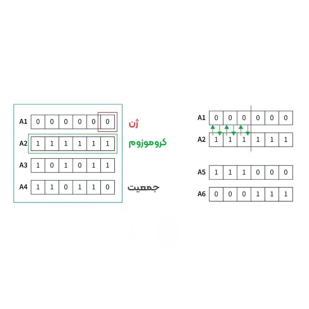 الگوریتم‌های ژنتیکی (GAs)