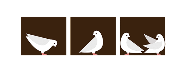 اصل لانه کبوتری (Pigeonhole Principle)